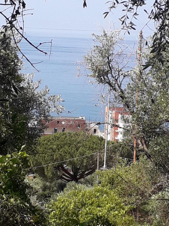 Tigullio Vacations Panoramica Holiday home *